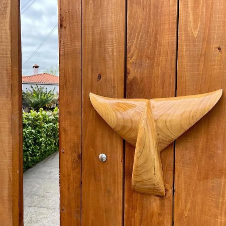 Azores Bagus Surf House 蓬塔德尔加达 外观 照片